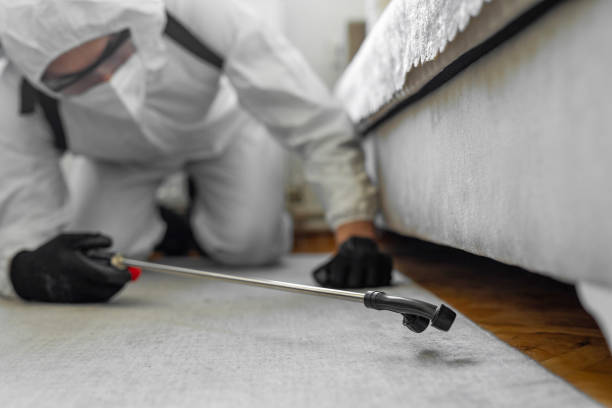 Professional Mosquito Control technician working in Colfax, IL