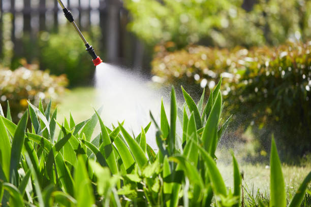 24/7 Emergency Mosquito Control experts in Colfax, IL